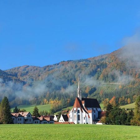 Ferienwohnung Bergspass Gaming ภายนอก รูปภาพ