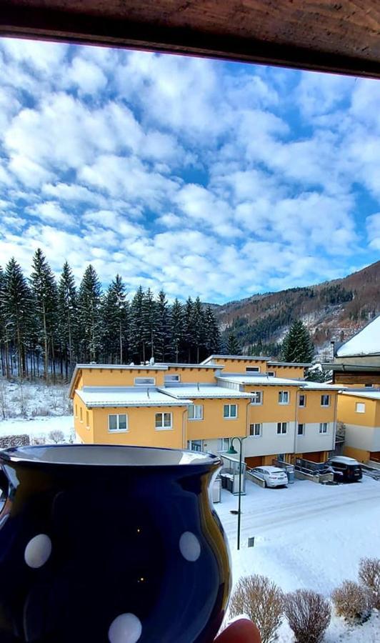 Ferienwohnung Bergspass Gaming ภายนอก รูปภาพ