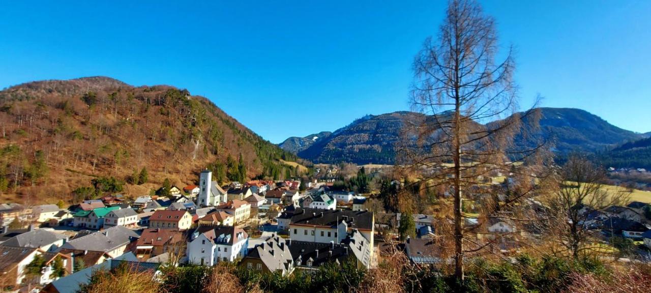 Ferienwohnung Bergspass Gaming ภายนอก รูปภาพ
