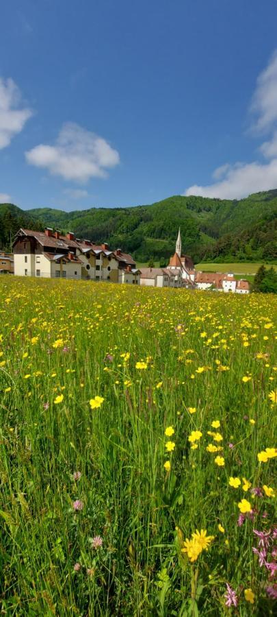 Ferienwohnung Bergspass Gaming ภายนอก รูปภาพ